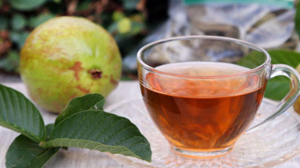 4 benefícios do chá da folha de goiaba
